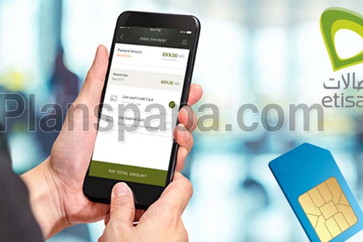 How to Check Etisalat Number and Owner Information