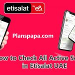 How to Check All Active Services in Etisalat UAE