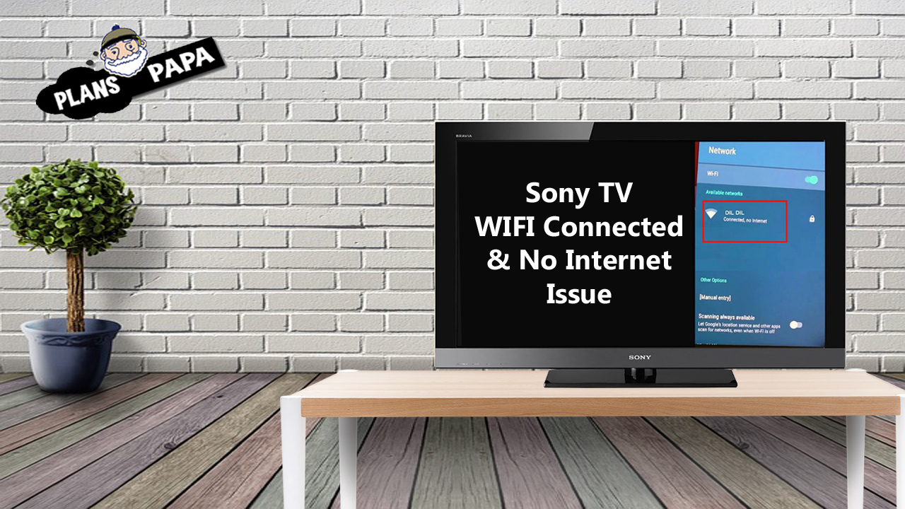 Sony TV WIFI Connected But No Internet