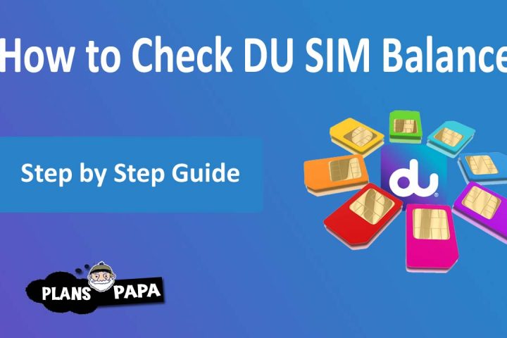 How to check DU Balance