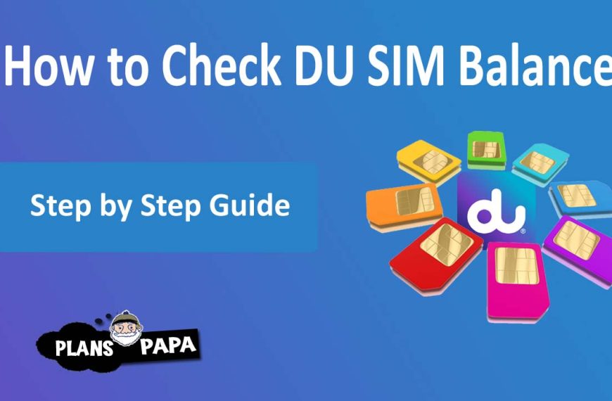 How to check DU Balance