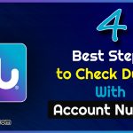 4 Best Steps to Check Du Bill With Account Number