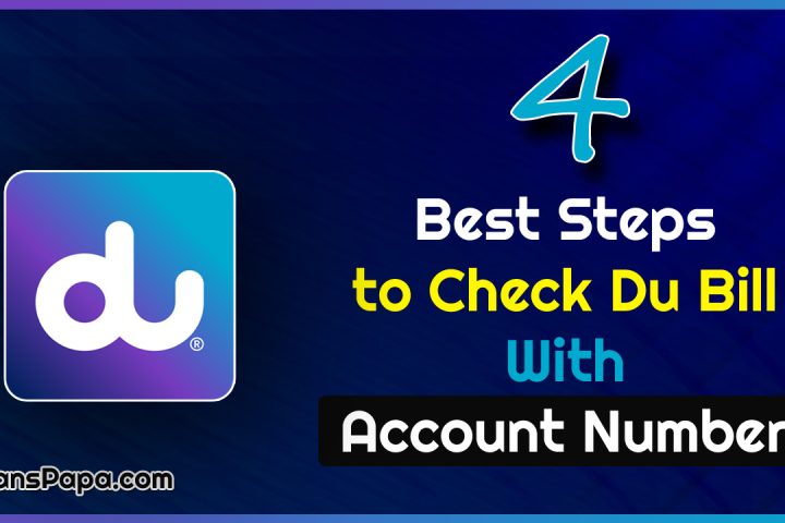 4 Best Steps to Check Du Bill With Account Number